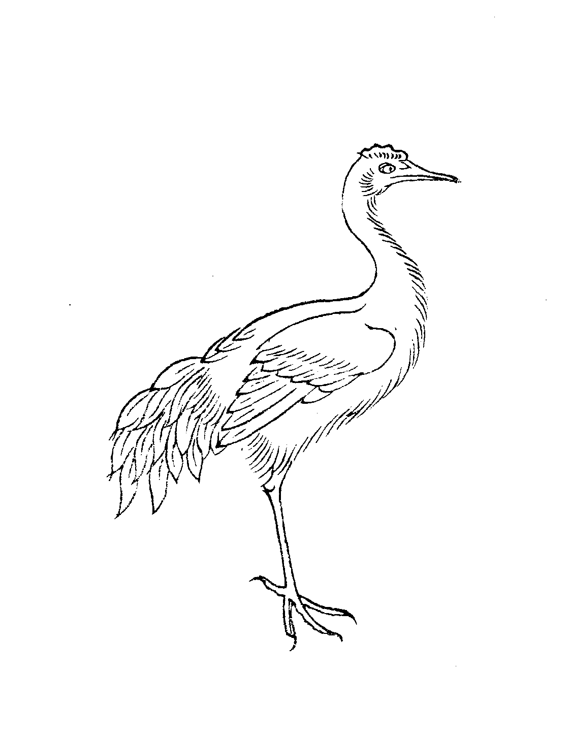 Bifang (毕方)